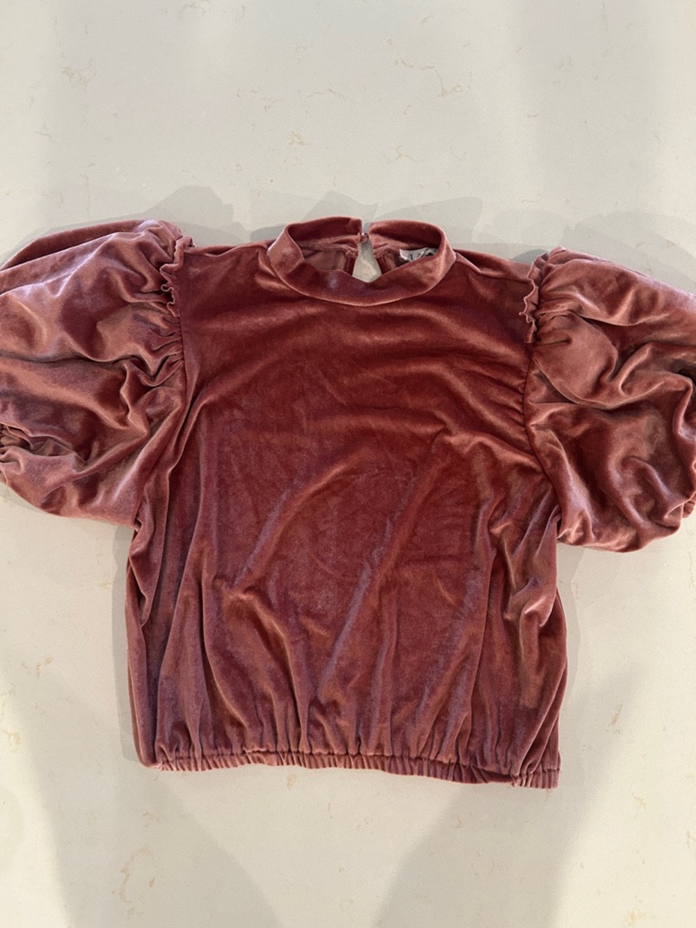 THML Velvet Puff-Sleeve Top in Dusty Rose